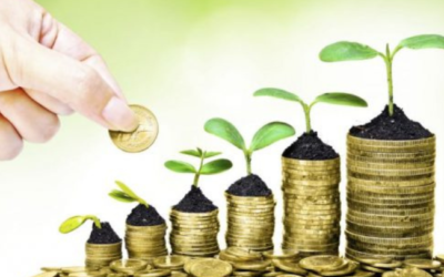 Financial Independence Tips: Master Your Finances Today