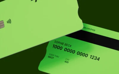 Wise vs Paidley: Disadvantages of Wise and Paidley Benefits